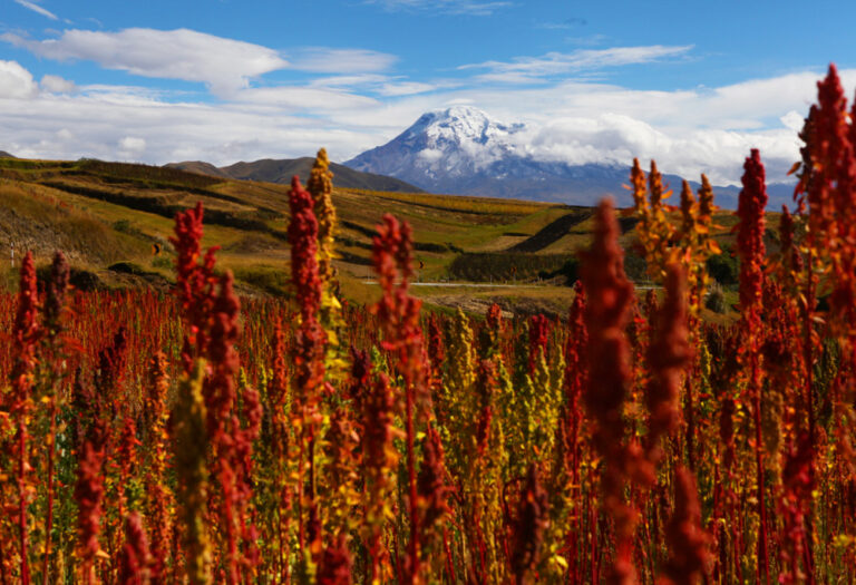 ecuador