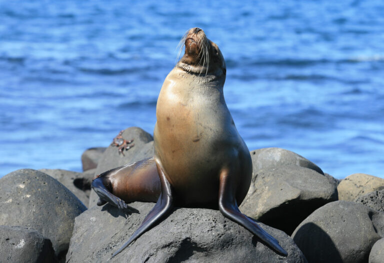 ecuador