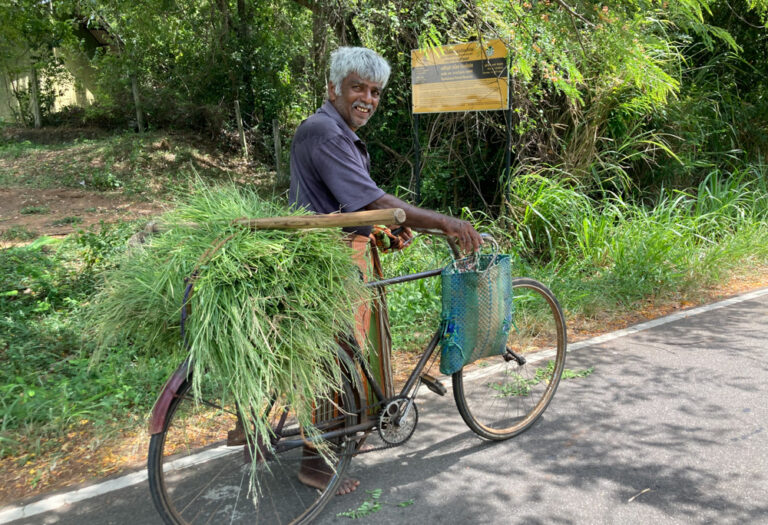 Sri Lanka