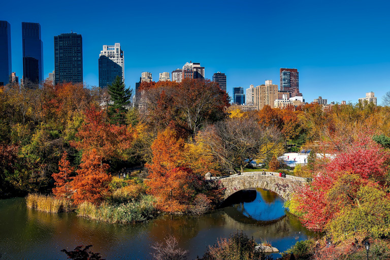 gal-central-park-1804588